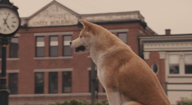 Hachiko A faithful friend