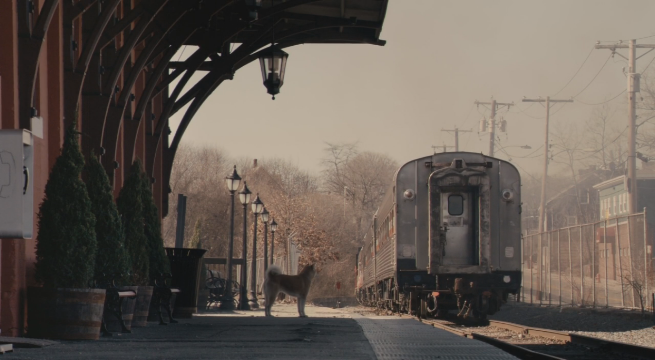 Hachiko A faithful friend