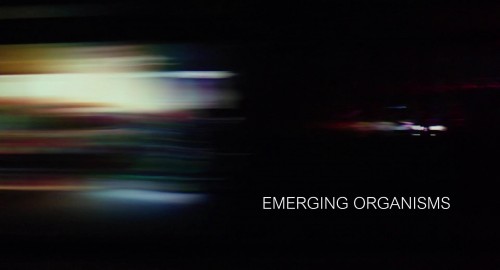 Emerging Organisms