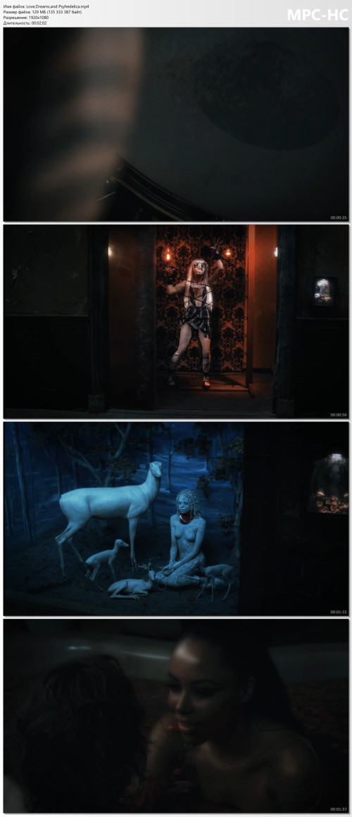 Love, Dreams, and Psyhedelica