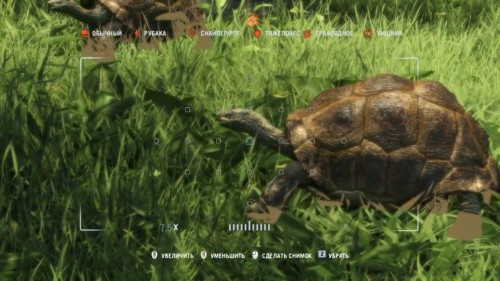 Far Cry 3 (Animals)