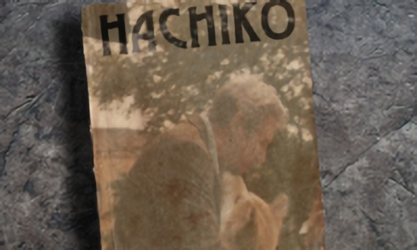 Hachiko A faithful friend