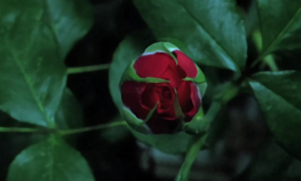 Jon Gomm - Passionflower
Video: Jon Gomm - Passionflower, Bbc Flowers In Hd
Автор: Madfield
Rating: 4.5