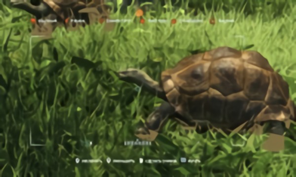 Far Cry 3 (Animals)