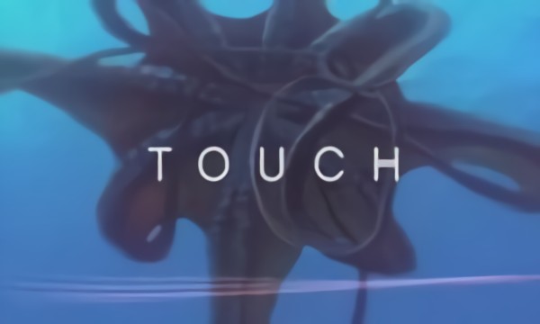 Touch