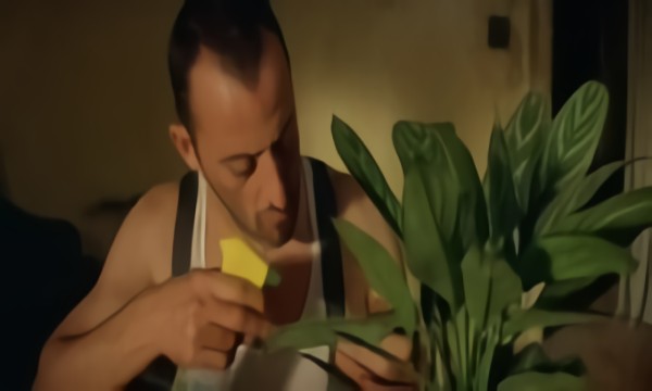 Radiohead - Street Spirit [Fade Out]
: Leon
: Savaga
: 4.4