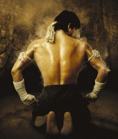 Jay Chow - Fearless OST
: Ong Bak
: chyvak33
: 4.1
