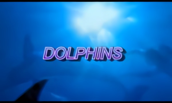 DOLPHINS